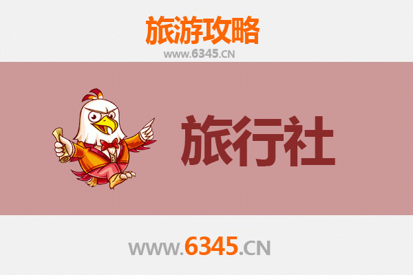 庆阳正宁本地旅行社推荐：探索陇东历史与自然的完美向导